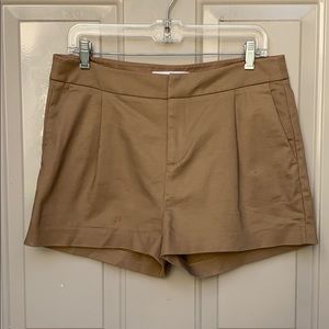 Everlane pleated brown shorts